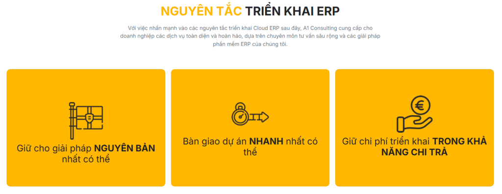 Công Ty Triển Khai Oracle NetSuite Tại Việt Nam